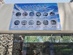 -青藏高原野生动物园