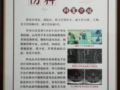 -上海中医药大学附属曙光医院(东部)