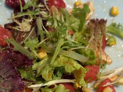 -森味薪火烧•烧鸟居酒屋•日本料理(望京店)
