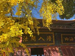 -宝通禅寺