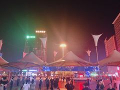 -阜阳站