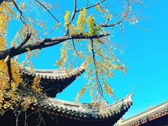 -龙华寺