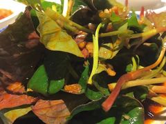 -川味堂·四川豆花(八卦岭店)
