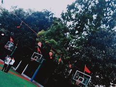 -上海市静安区教育学院附属学校(江宁校区)