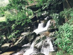 -藏龙百瀑风景区