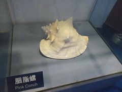 -泉城欧乐堡海洋极地世界