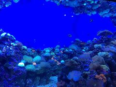 -成都浩海立方海洋公园