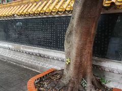-宋少帝陵