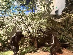-北京周口店北京人遗址博物馆