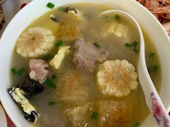 -南汇老顾农家乐采摘大团水蜜桃采摘店