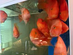 -酒蜻蜓·庭院私房菜(天元东路店)
