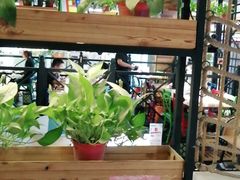 -焖锅部落(容城店)