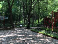 -同里国家湿地公园