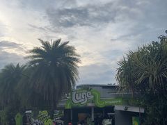 -圣淘沙天际线斜坡滑车