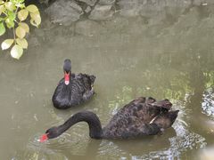 -福建鲤鱼洲酒店