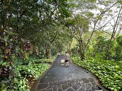 -海口火山口国家地质公园