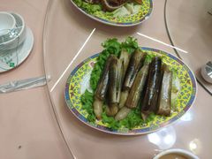 蛏子-清真老马家海鲜大排档(台东店)