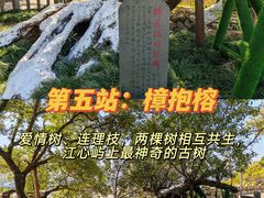 -江心屿景区