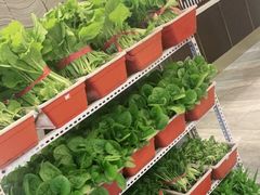 -上地宴·中关村的会客厅(清河高铁站店)
