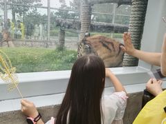 -西霞口神雕山野生动物世界