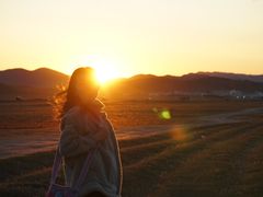 -乌兰布统景区-白桦林