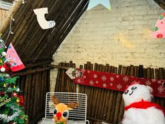 -大象厨房(重庆道店)