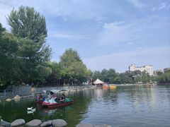 -莲湖公园