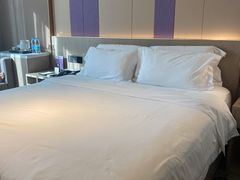 -麗枫酒店(广州区庄地铁站店)