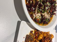-三猫黑鱼花(南大店)