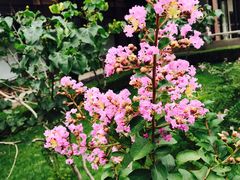 -北京宽沟会议中心