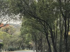 -南北湖风景区