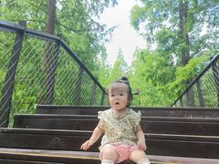 -黄海国家森林公园