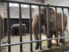 -石家庄市动物园