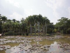 -中国科学院西双版纳热带植物园