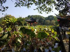 -丝绸小镇荻港古村