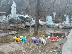 -玉渡山自然风景区