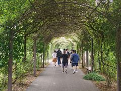 -上海长兴岛郊野公园