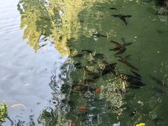 -乔治莫兰迪酒店(济南解放路山东大学店)