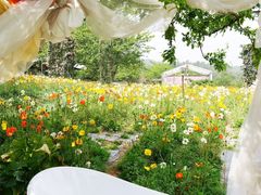 -名花谷生态庄园