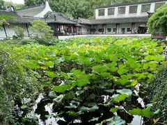 -上海醉白池公园