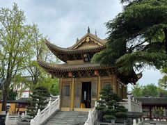 -上海东林寺(金山区)