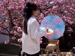 -四明山国家森林公园