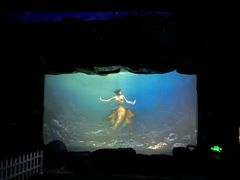 -烟台海昌鲸鲨海洋公园