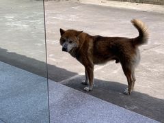 -峡谷农家乐饭店