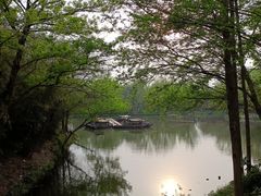 -西溪国家湿地公园