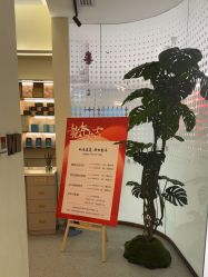 -碧莲盛·脱发养发中心