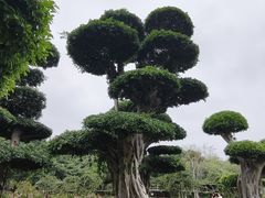 -南宁南湖公园