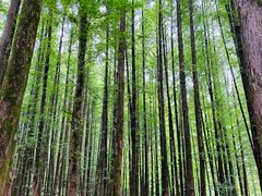-山王坪喀斯特国家生态公园
