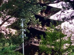 -北京世界公园
