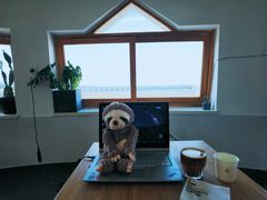 -ChanDu躔度咖啡(灯塔店)